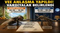 Bilim İnsanları Açıkladı: Ev Sinekleri ve Sivrisinekler Arasında Vardiya Düzeni Var