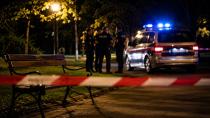 Viyana'da Parkta Dehşet: Kadınları Isırdı, Darbetti ve Polise Saldırdı