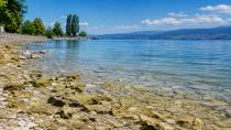Bodensee Alarm Veriyor: Gölde Dikkat Çeken Değişim