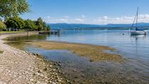 1864’ten Bu Yana Böylesi Görülmedi: Bodensee Tarihi Dipte